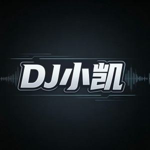 DJ小凯