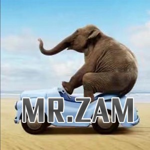 Mr.Zam